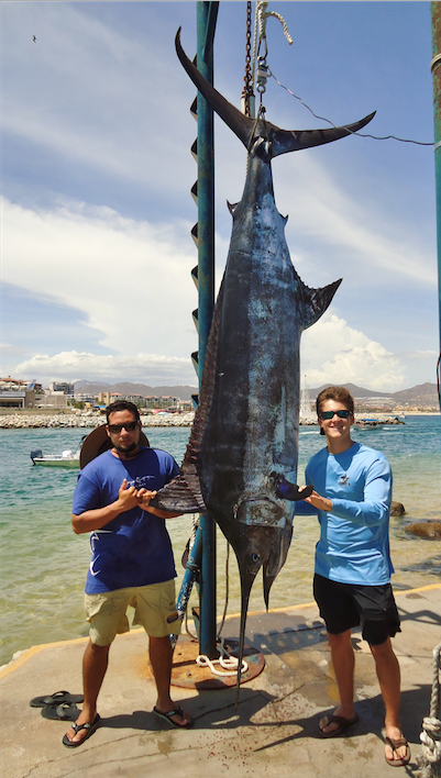 Fishing for striped marlins in Cabo San Lucas with captain Julio