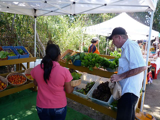 Organic market Cabo