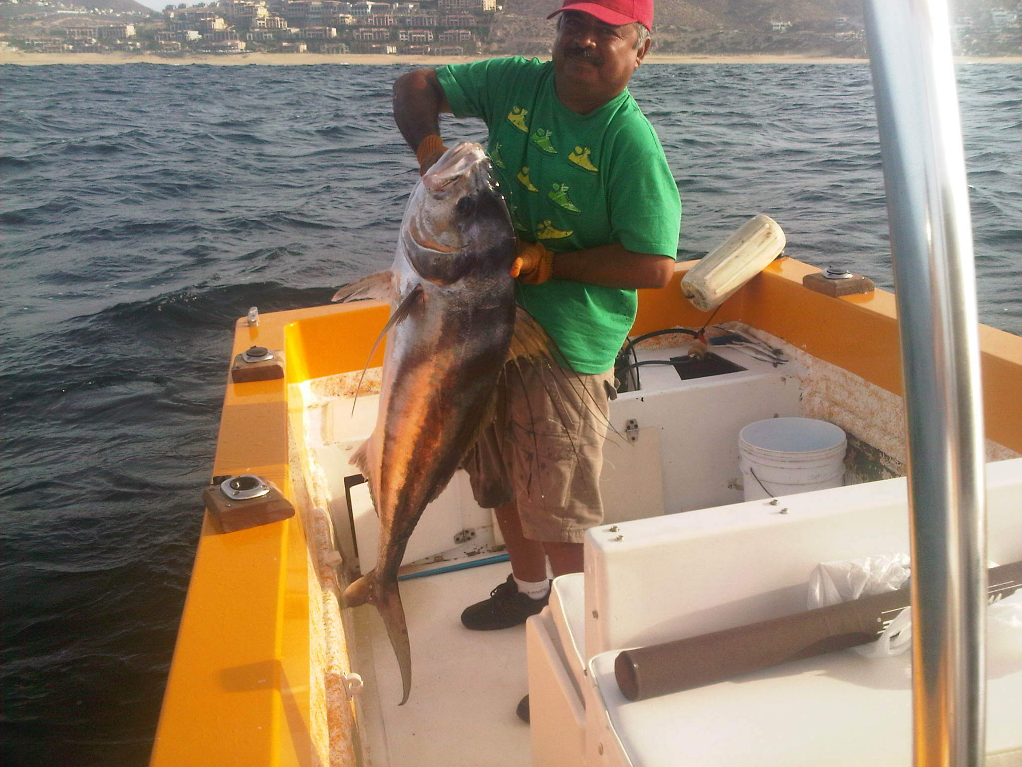 Roosterfish in Cabo
